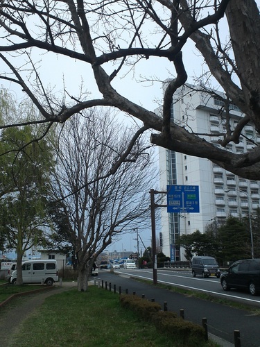 shigamoriyama.jpg
